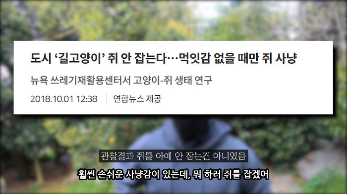 [사진100장스압] 고양이가 자연생태계에 끼치는 심각한 영향 | 인스티즈
