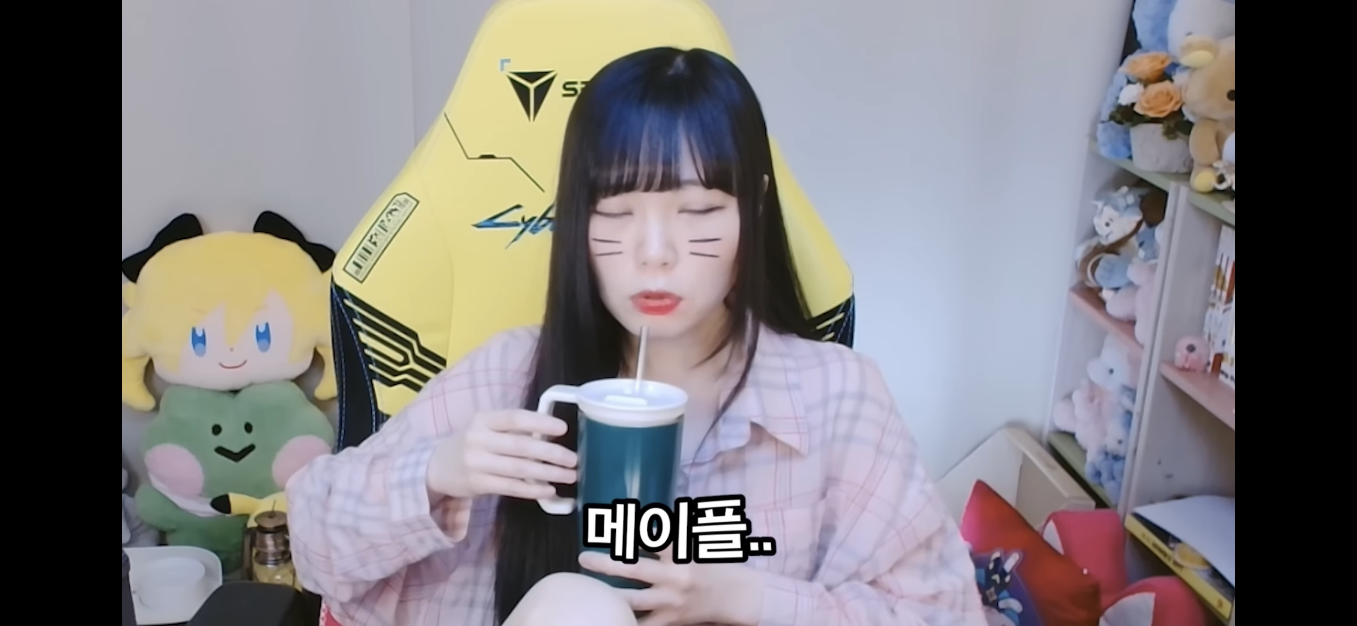 서새봄이 보는 메이플스토리 | 인스티즈