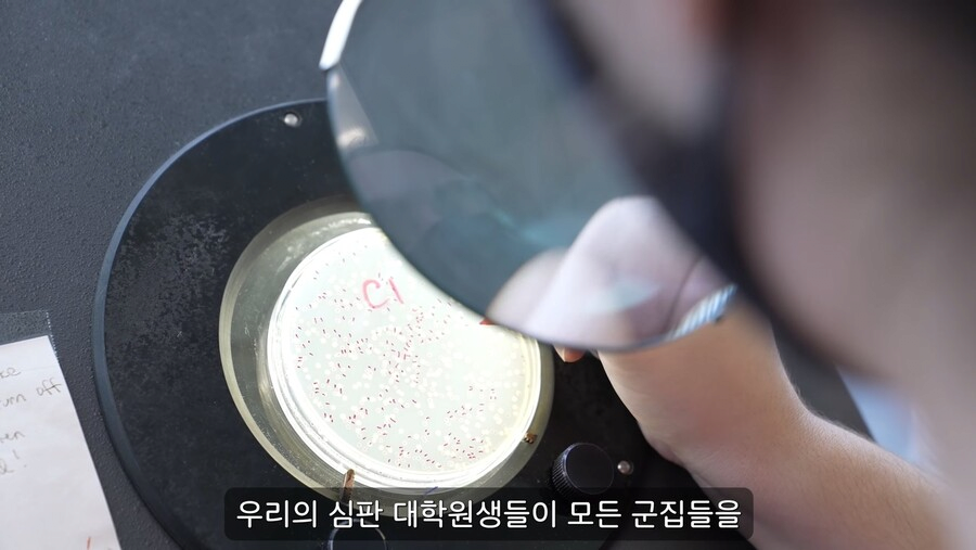 흰개미 완전박멸이라고? 어떻게 장담해? | 인스티즈
