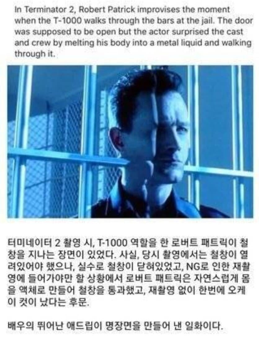 애드립 이미지