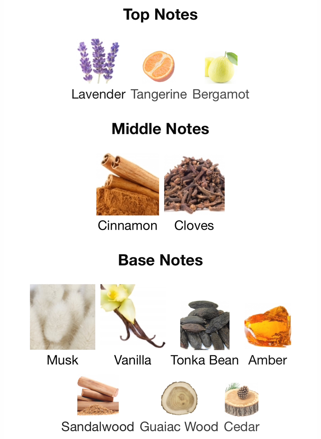 가을겨울에 쓰기 좋은 머스크 노트 향수들.jpg | 인스티즈