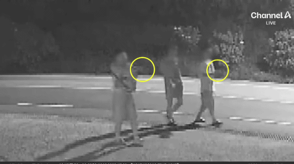 CCTV 공개된 거제 비비탄 노견 사망 사건.gif | 인스티즈