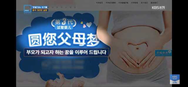 충격과 공포의 중국 대리모 시장 | 인스티즈
