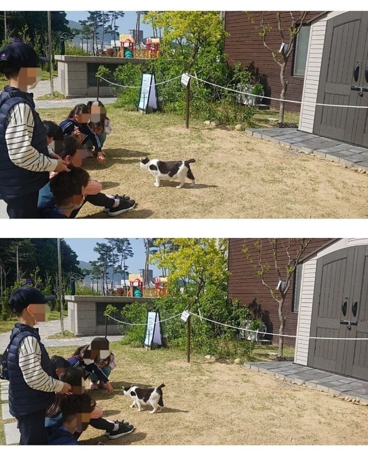 경남의 한 아파트의 길고양이 집.jpg | 인스티즈