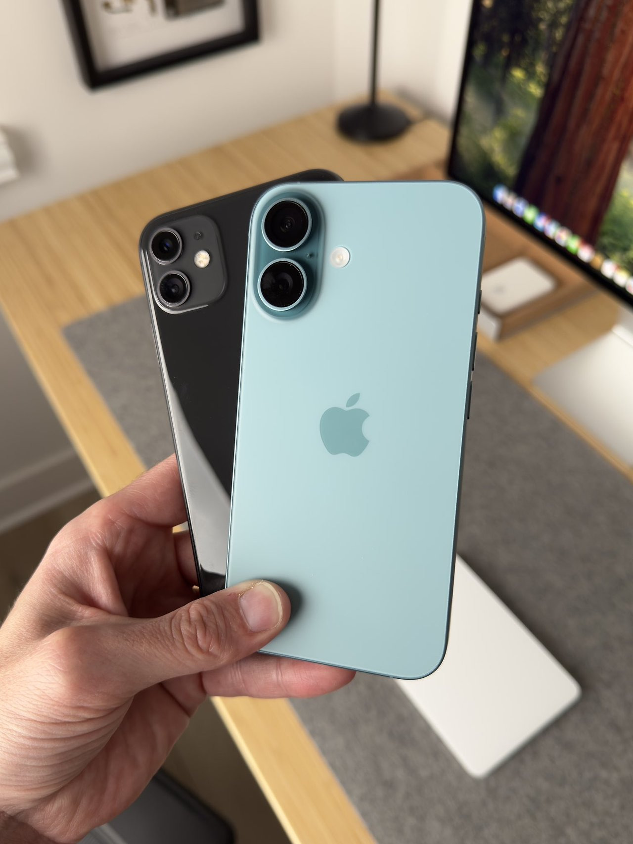 아이폰 11 vs 아이폰 16 카메라 크기 비교ㅋㅋㅋㅋ.jpg | 인스티즈