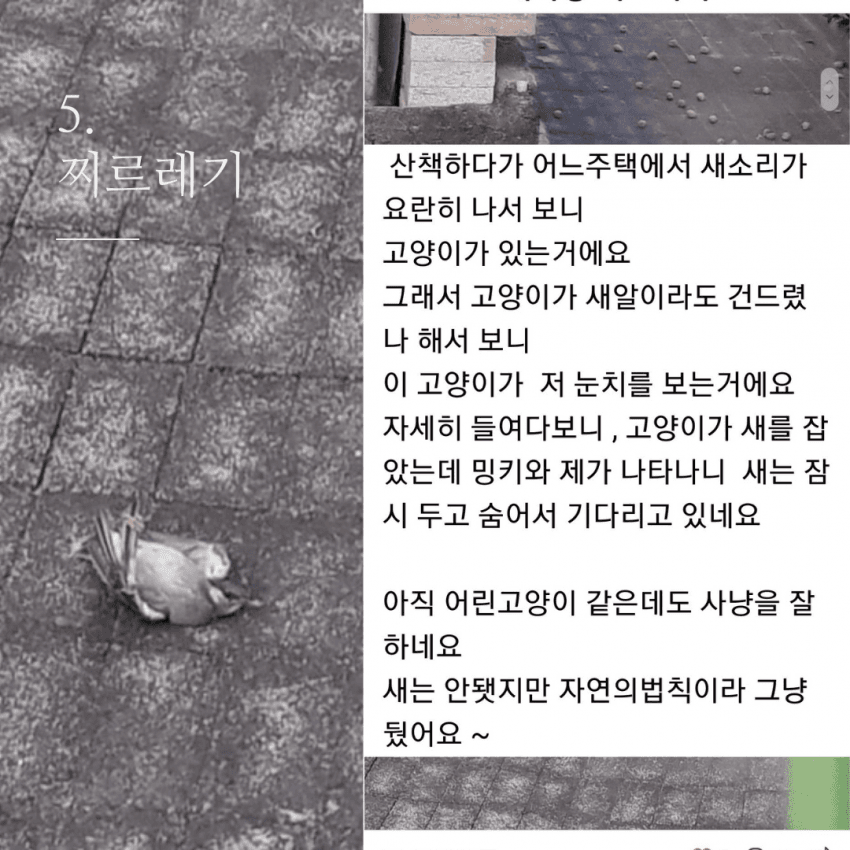 저는 장난감이 아니에요.jpg | 인스티즈