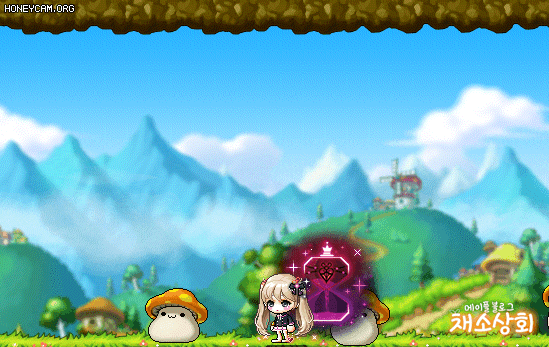 메이플스토리 데미지 스킨 모음 | 인스티즈