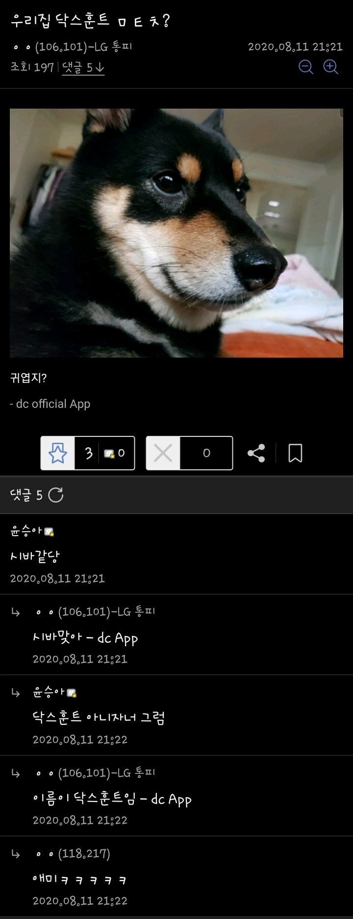 우리집 닥스훈트 ㅁㅌㅊ? | 인스티즈
