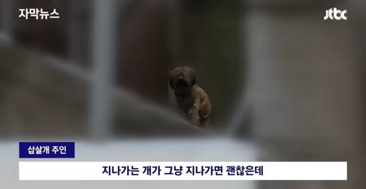 우리 개는 사람은 안물어 | 인스티즈