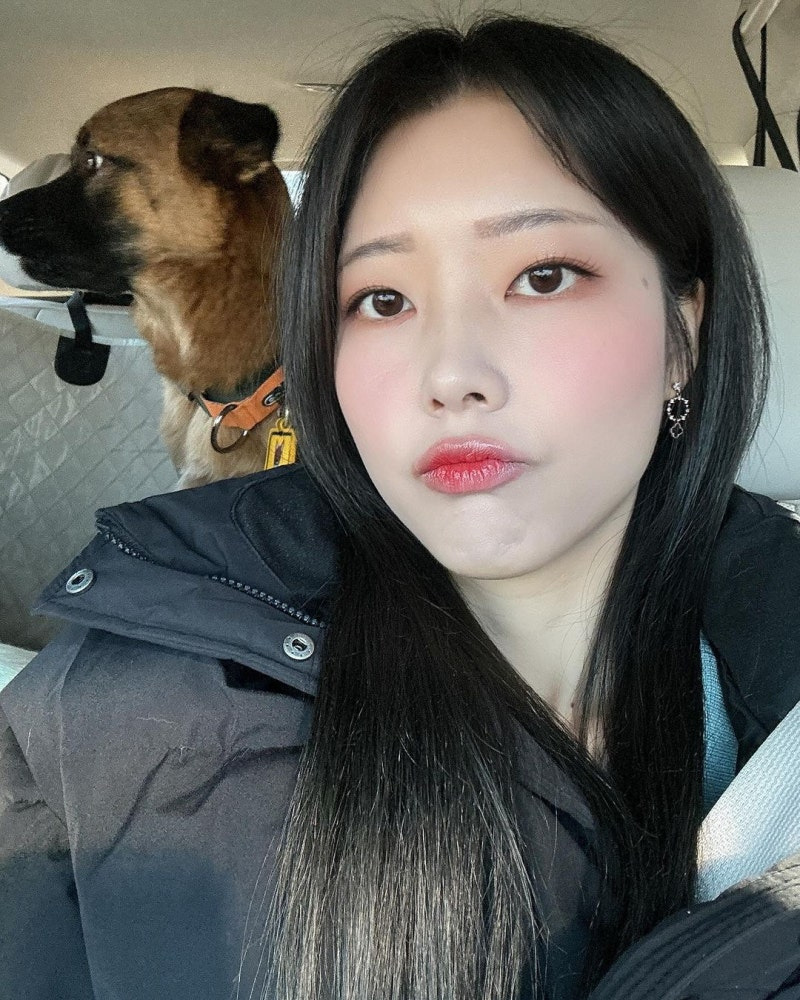 수영복 모으는게 취미라는 개쩌는 고양이 유튜버 | 인스티즈