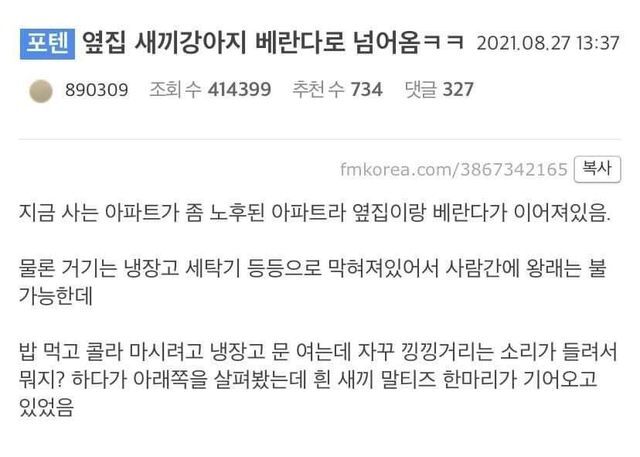 옆집 새끼강아지 베란다로 넘어옴 ㅋㅋ | 인스티즈