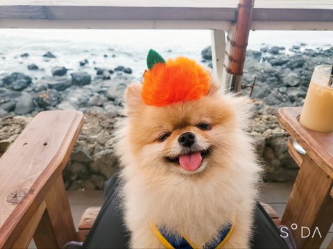 보고싶은 우리 맥주 | 인스티즈