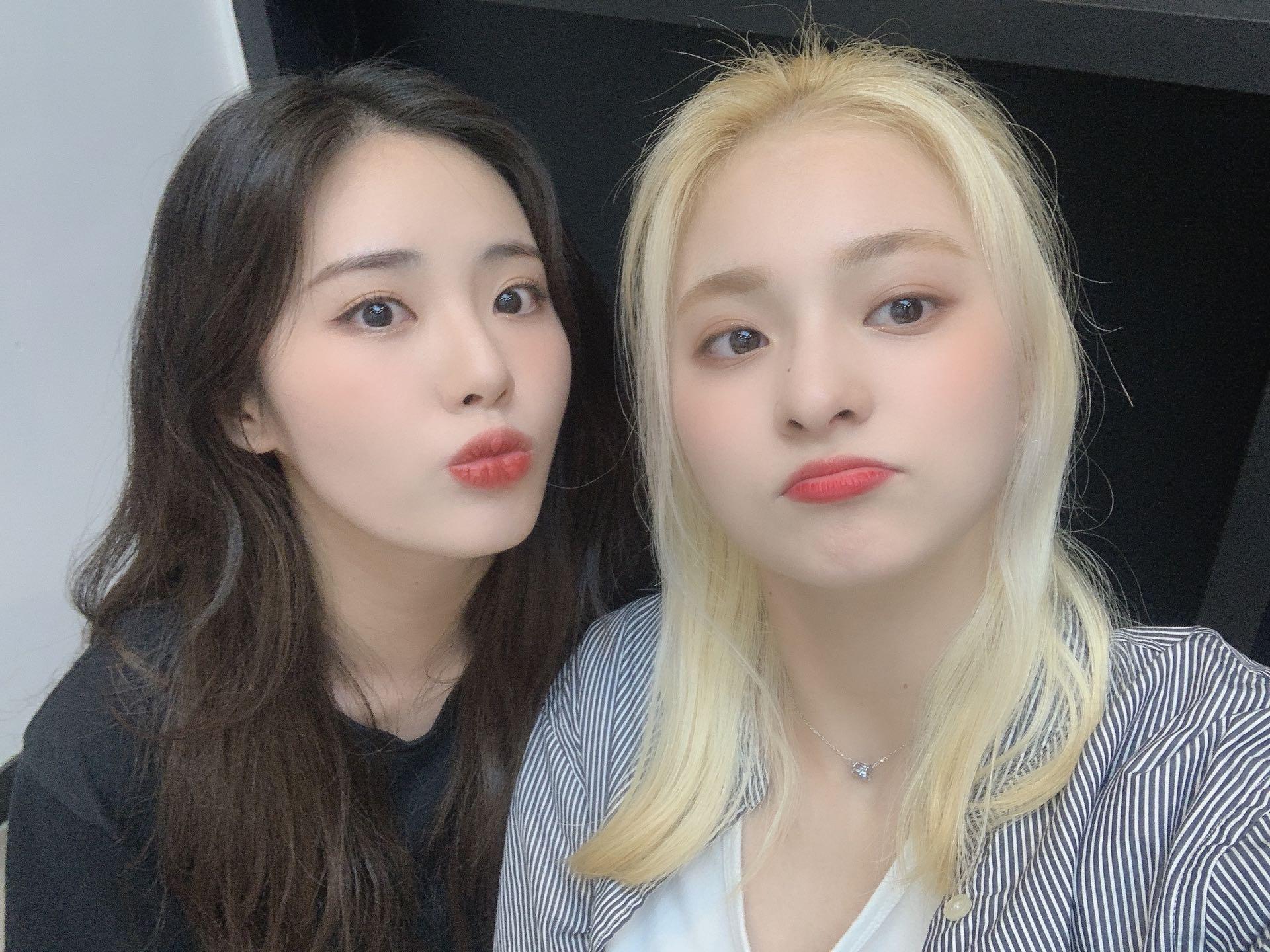 V라이브 채널에 올라온 프로미스나인 총 정리 2탄 | 인스티즈