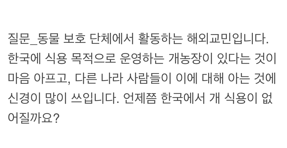 개고기에 대한 법륜스님의 답변.jpg | 인스티즈