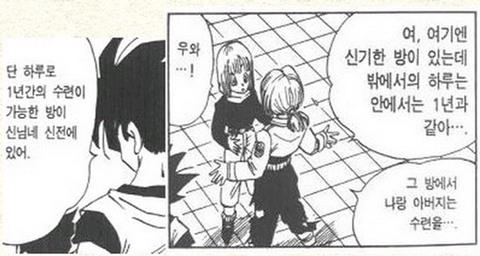 드래곤 볼에서 더 중요한 아이템은?? | 인스티즈