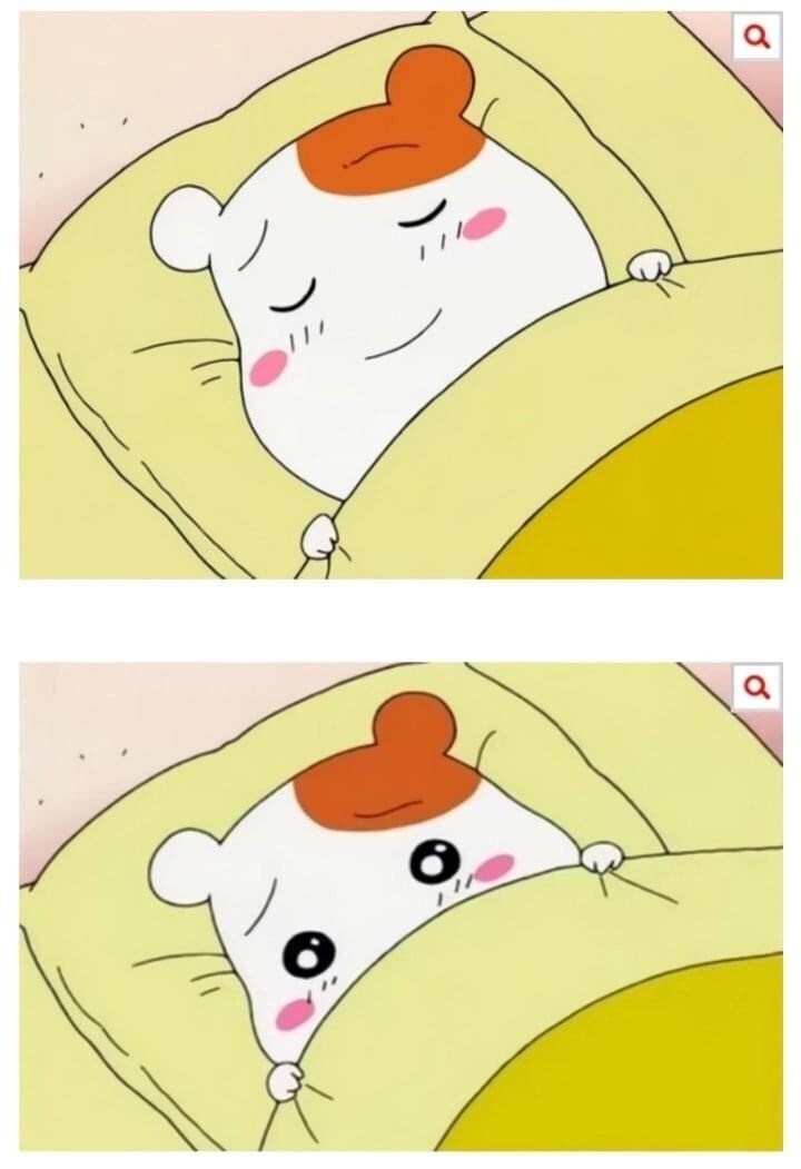 친오빠에게 인정받은 여동생 | 인스티즈