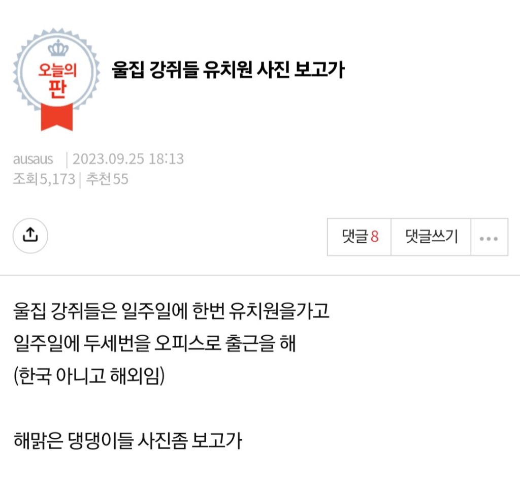 울집 강쥐들 유치원 사진 보고가 | 인스티즈