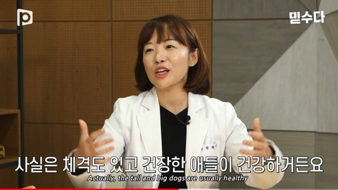 국내 소형견이 유독 슬개골 탈구가 많은 이유 | 인스티즈