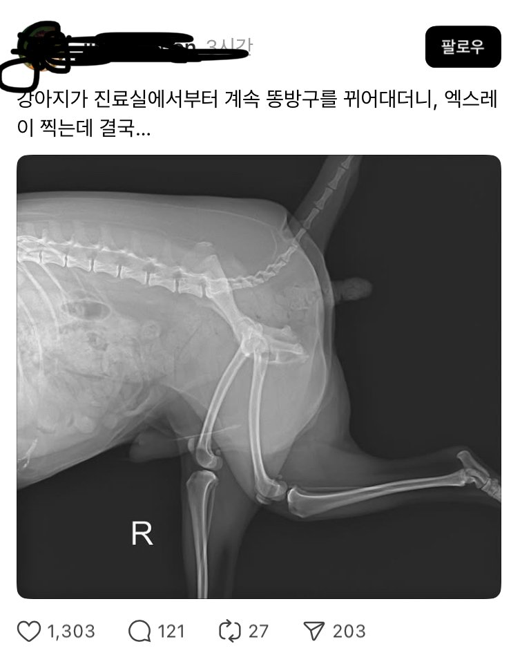 똥방구 이미지