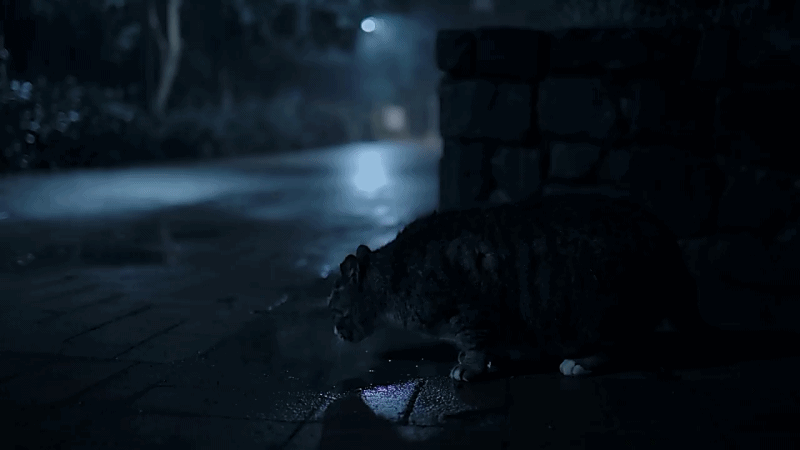 한 유튜버가 촬영하면서 정말 무서웠다는 새벽 2시 서울숲 풍경 | 인스티즈