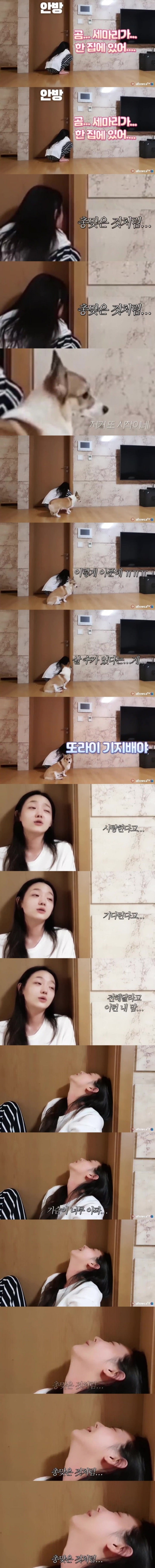 아부지 한테 주사 부리는 개딸 ㅋㅋㅋㅋㅋ.jpg | 인스티즈