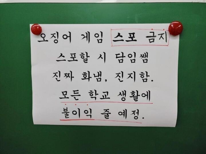 오징어 게임에 진심인 담임쌤.jpg | 인스티즈