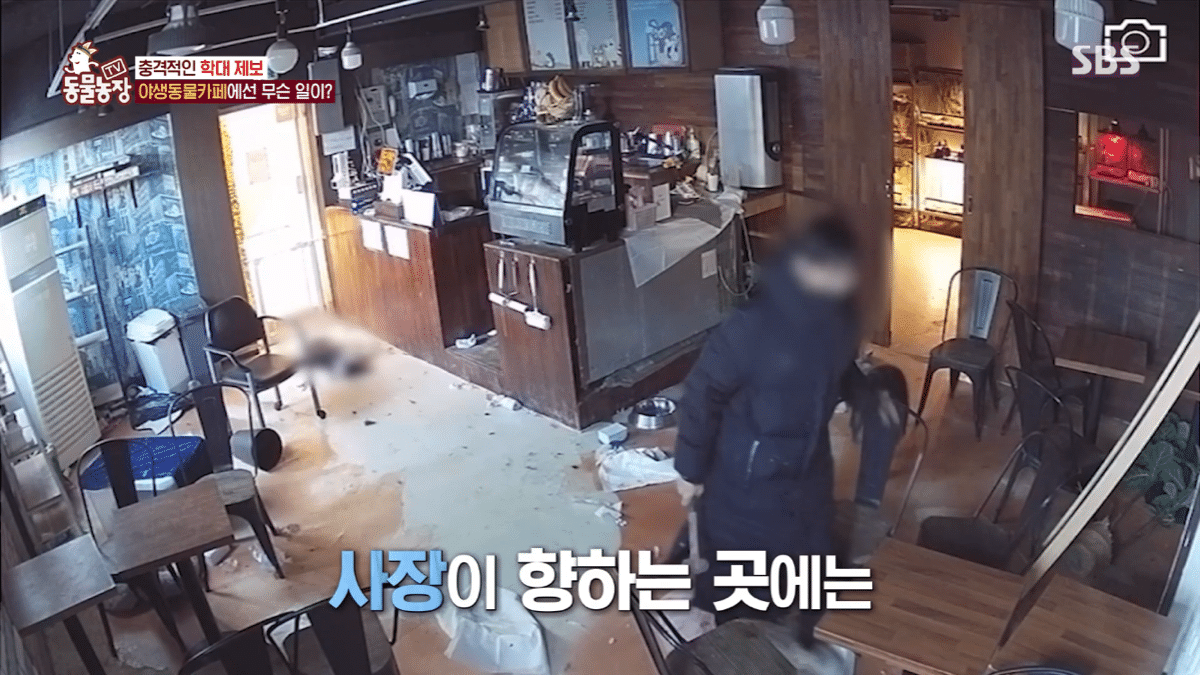 현재 난리난 동물농장에 나온 동물카페 사장.jpg | 인스티즈