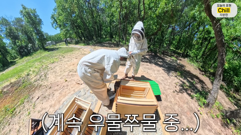 양봉 시작한 올리버쌤 근황.jpg | 인스티즈