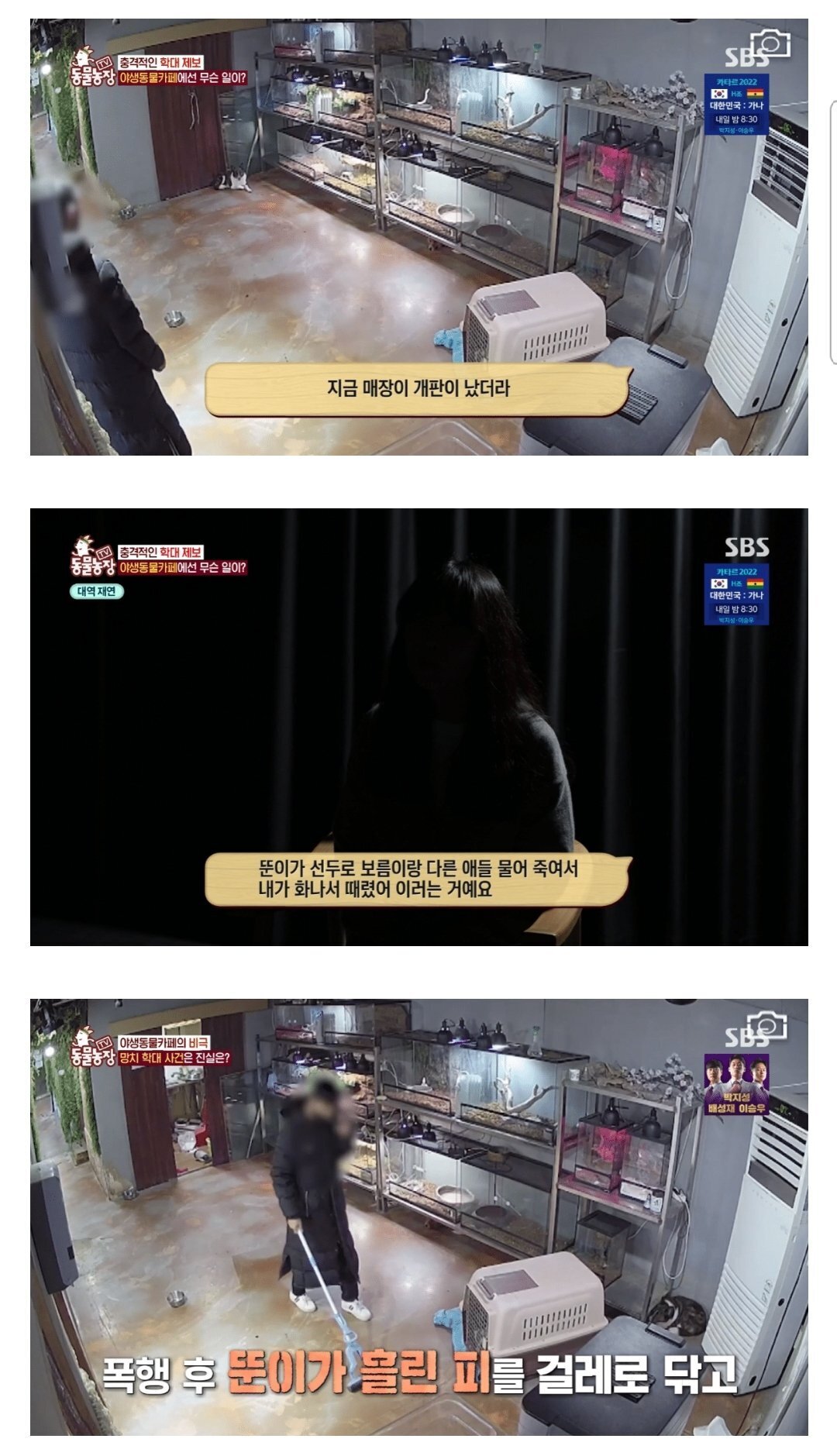 현재 난리난 동물농장에 나온 동물카페 사장.jpg | 인스티즈