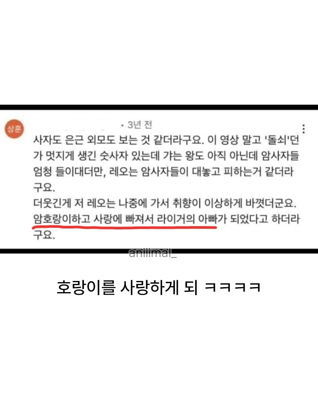 못생긴 숫사자와 잘생긴 숫사자 | 인스티즈