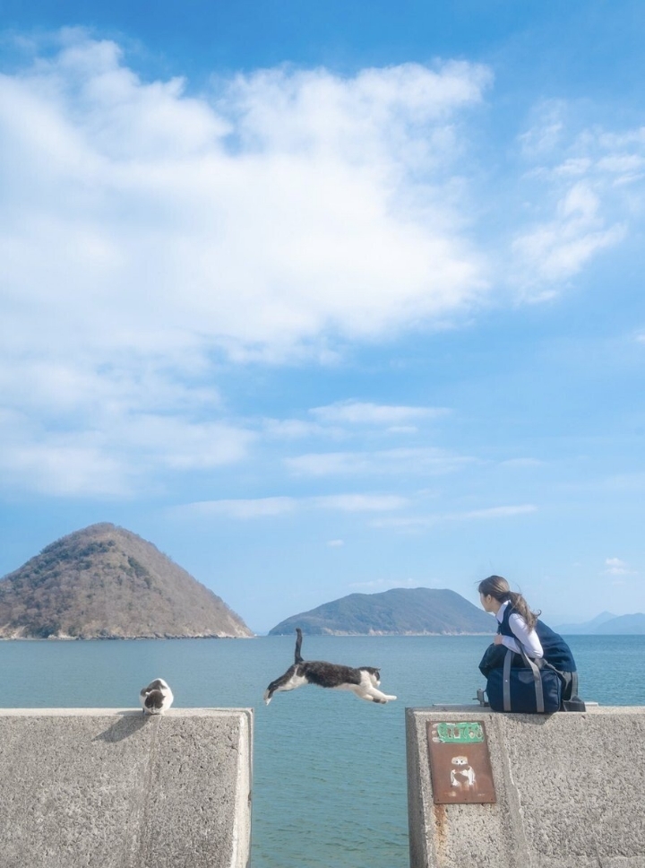 애니메이션 배경풍 사진 찍는 일본 여고생들 | 인스티즈