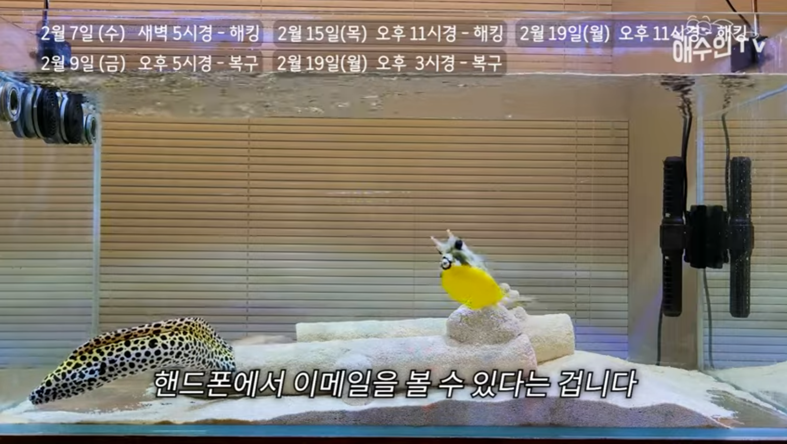 유튜브 계정이 3번이나 해킹 당한 이유 | 인스티즈