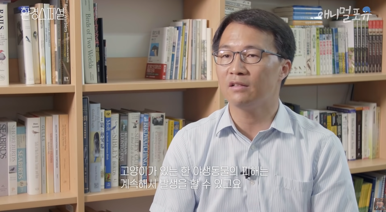 일부 몰지각한 캣맘들은 이 악물고 모른척하는 내용.jpg | 인스티즈