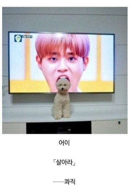 ??? : 어떻게 살아있는 거지??? | 인스티즈