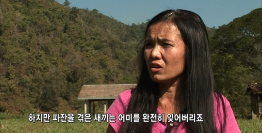 태국의 코끼리 전통의식 파잔 | 인스티즈