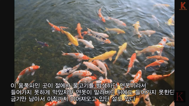 미스테리한 일본의 출입금지된 도심 한복판의 숲 | 인스티즈