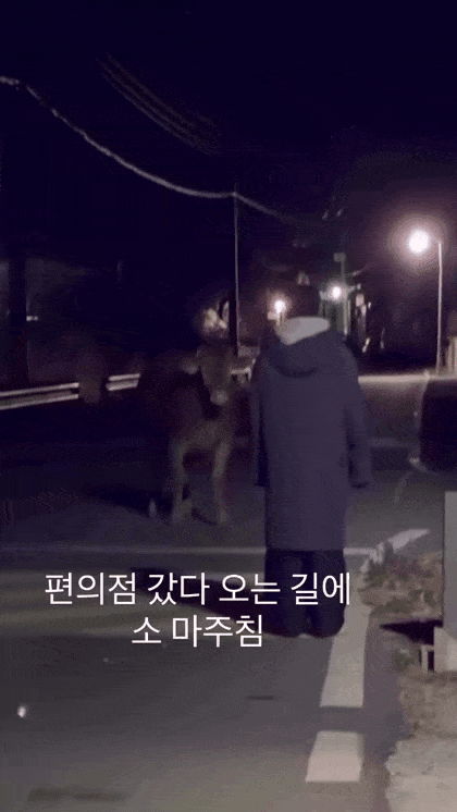 편의점 가다 마주친 동네 주민 | 인스티즈