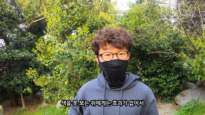 [사진100장스압] 고양이가 자연생태계에 끼치는 심각한 영향 | 인스티즈