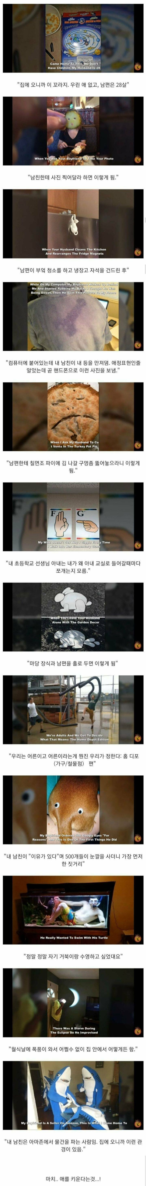 남자와 같이 사는 여자들 후기.jpg | 인스티즈