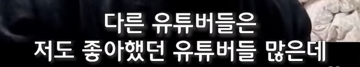 빠니보틀이 아직도 안지겹고 대단하다고 생각하는 유튜버 | 인스티즈