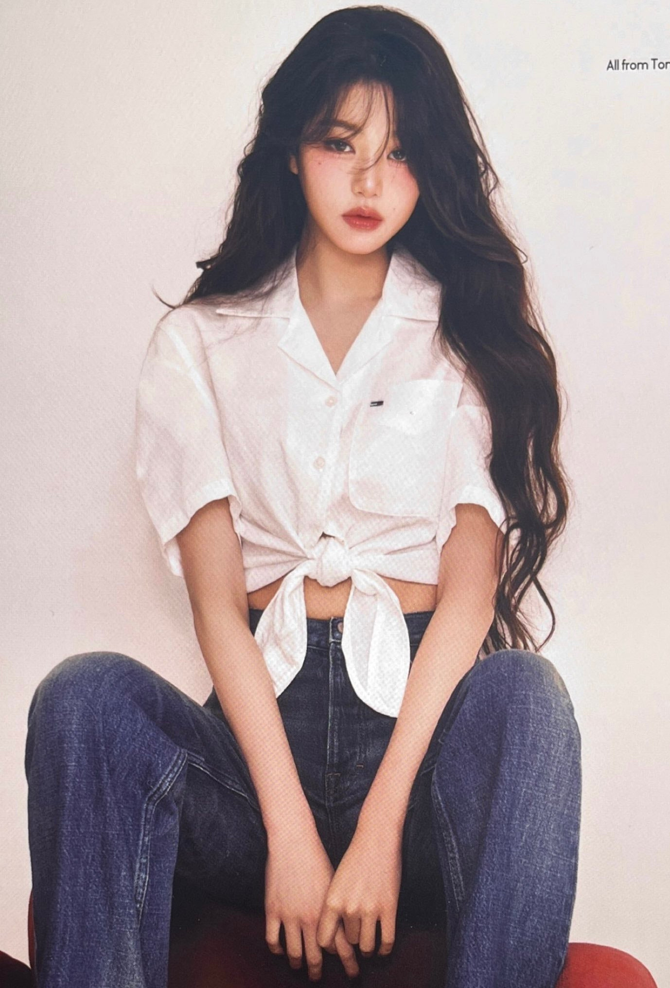타미 이미지