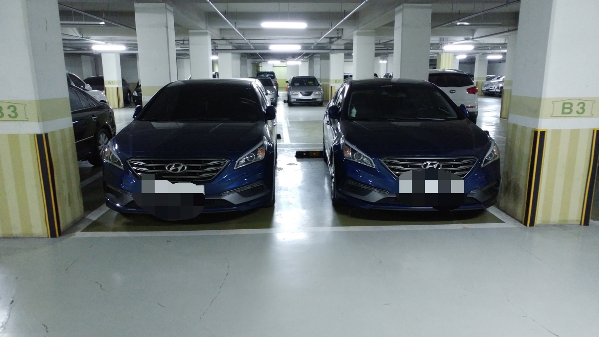 의외로 많은 차주들의 소확행 | 인스티즈