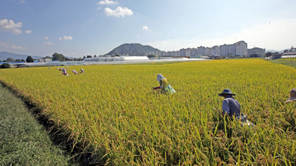 한국 장바구니 물가가 외국에 비해 비싼 이유.JPG | 인스티즈