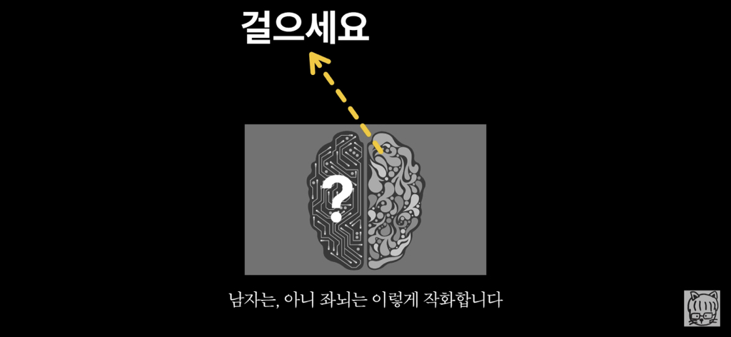 (스압)분리 뇌 실험 | 인스티즈