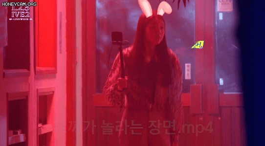 리얼리티에서 담력체험하는 아이브 멤버들 ㅋㅋㅋㅋㅋㅋㅋ | 인스티즈