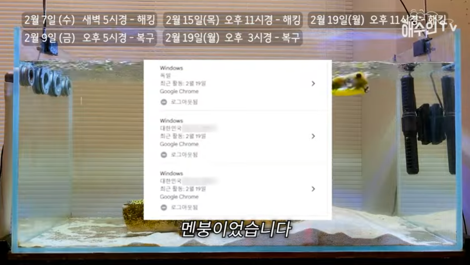 유튜브 계정이 3번이나 해킹 당한 이유 | 인스티즈