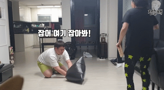 [몰카] 집안에 비둘기가 들어온다면? (진짜 비둘기는 안 나오니까 걱정 말아요) | 인스티즈