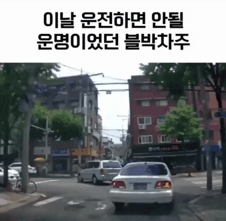 운전하면 안될 운명이었던 차주.gif | 인스티즈