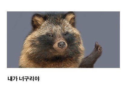 너구리 이미지