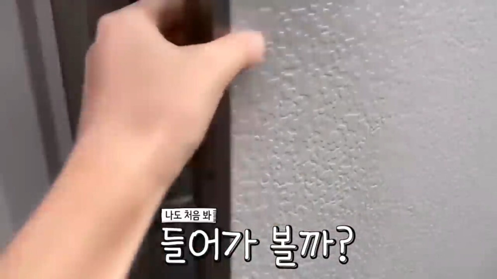 [스압주의] 일본인 캣맘 유튜버 2편 - 3천만원짜리 고양이 집 지음 | 인스티즈